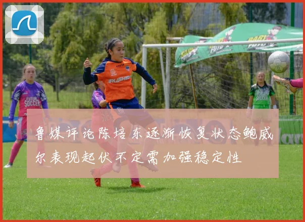 鲁媒评论陈培东逐渐恢复状态鲍威尔表现起伏不定需加强稳定性