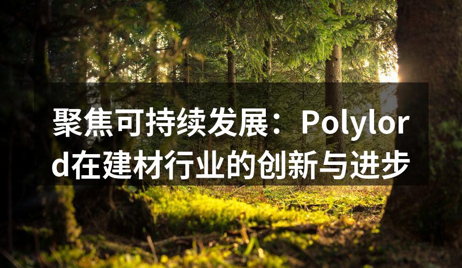 聚焦可持续发展：Polylord在建材行业的创新与进步