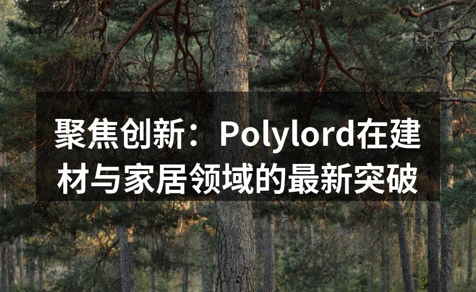 聚焦创新：Polylord在建材与家居领域的最新突破