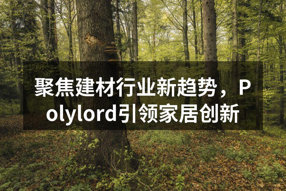 聚焦建材行业新趋势，Polylord引领家居创新
