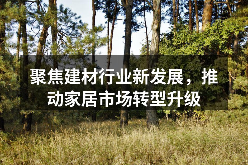 聚焦建材行业新发展，推动家居市场转型升级