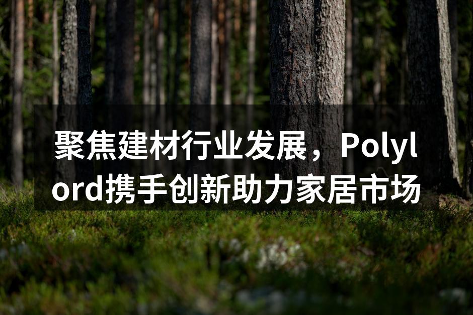 聚焦建材行业发展，Polylord携手创新助力家居市场